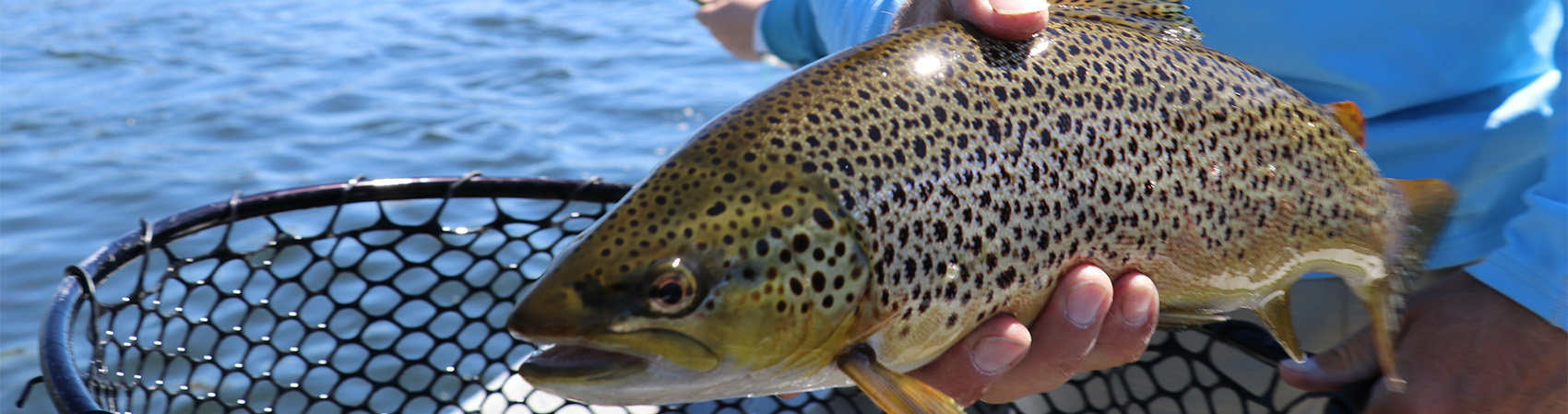 Pourvoirie La Réserve Boismenu